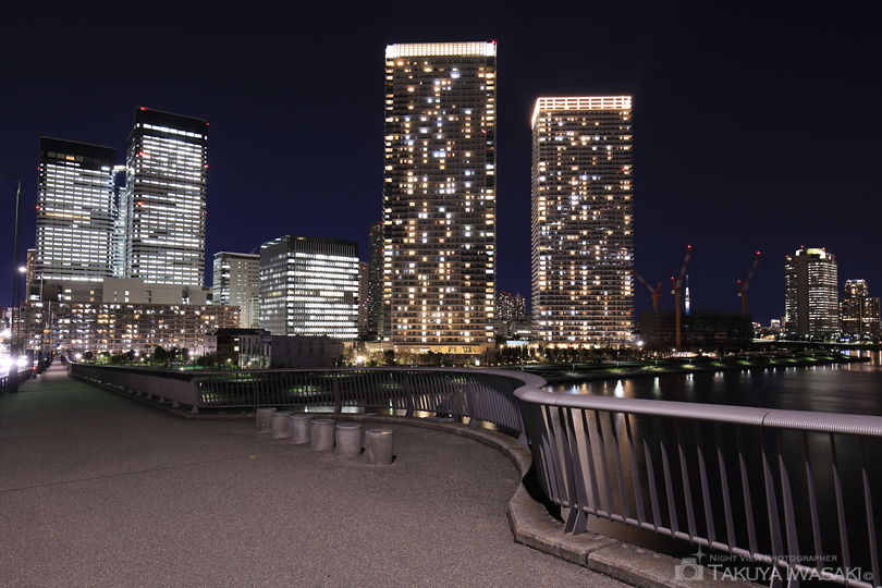 晴海大橋 東側の夜景スポット写真（5）