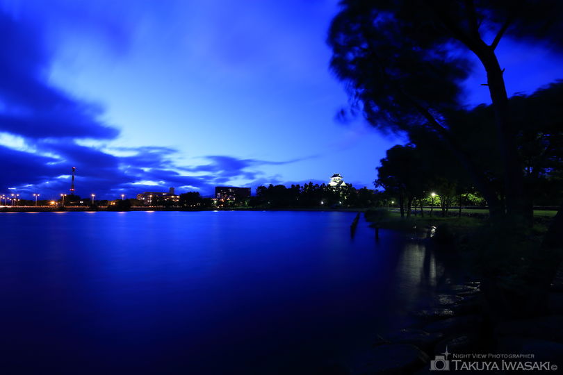 豊公園の夜景スポット写真（2）