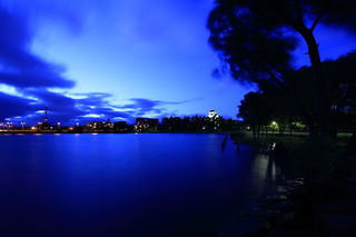 豊公園の夜景スポット写真（2）class=
