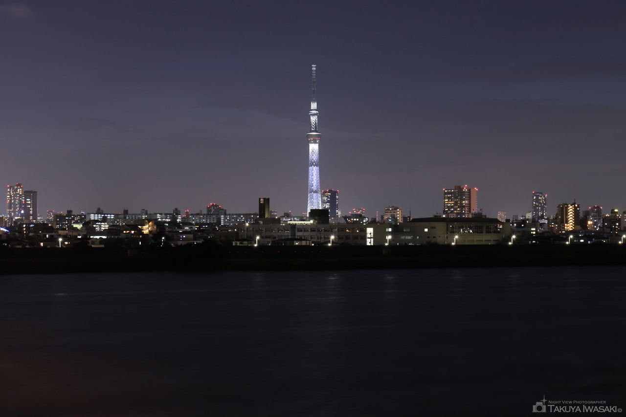 小松川大橋の夜景スポット写真（1）