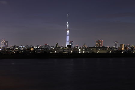 小松川大橋の夜景スポット写真（1）class=