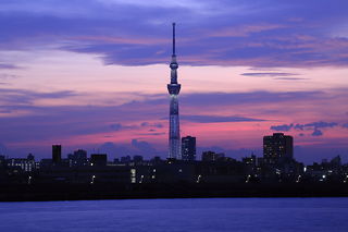 夕暮れに東京スカイツリーを望む