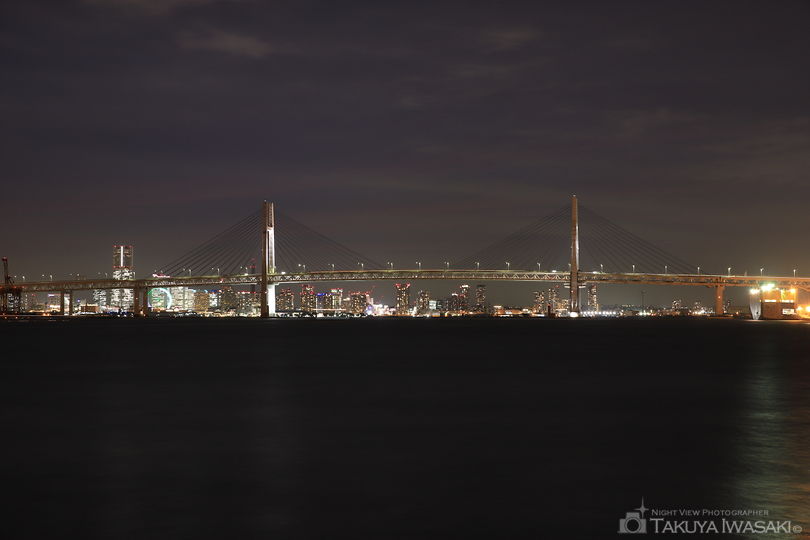大黒海釣り施設の夜景スポット写真（1）