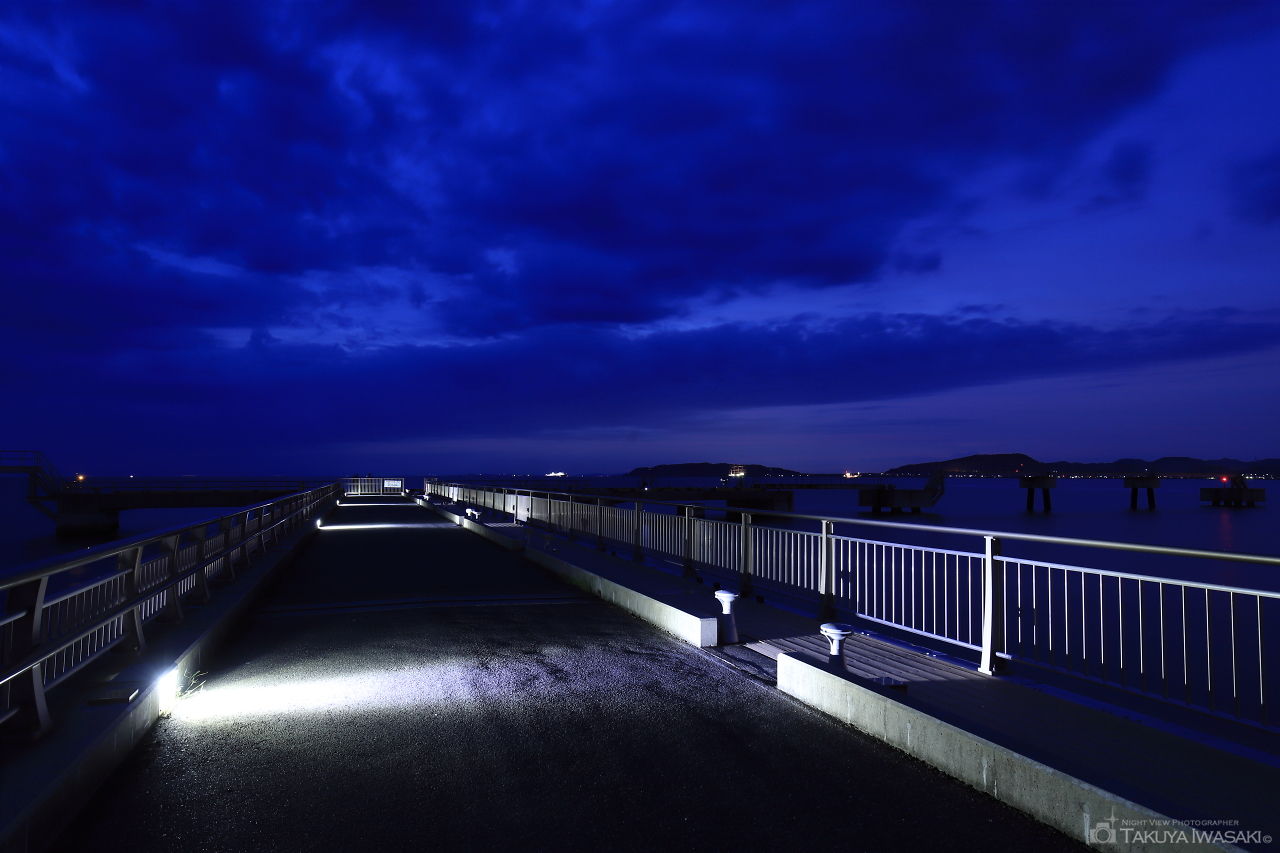 館山夕日桟橋の夜景スポット写真（3）
