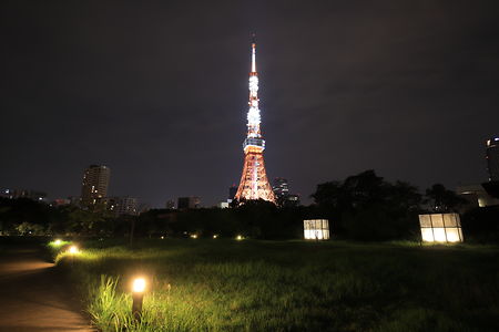 正面に東京タワーを望む