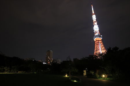 斜め向きに東京タワーを望む
