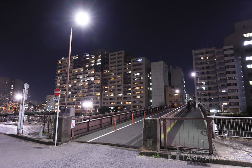 楽水橋の夜景スポット写真（4）