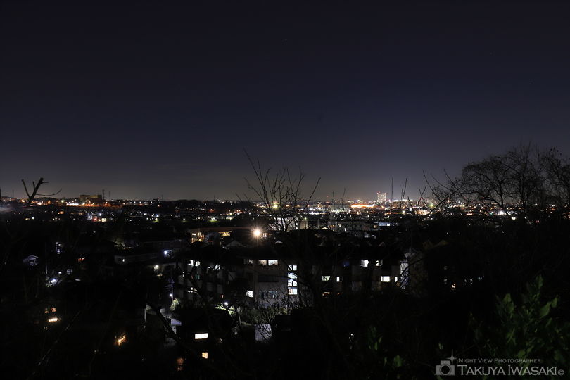 ふじみ公園の夜景スポット写真（2）