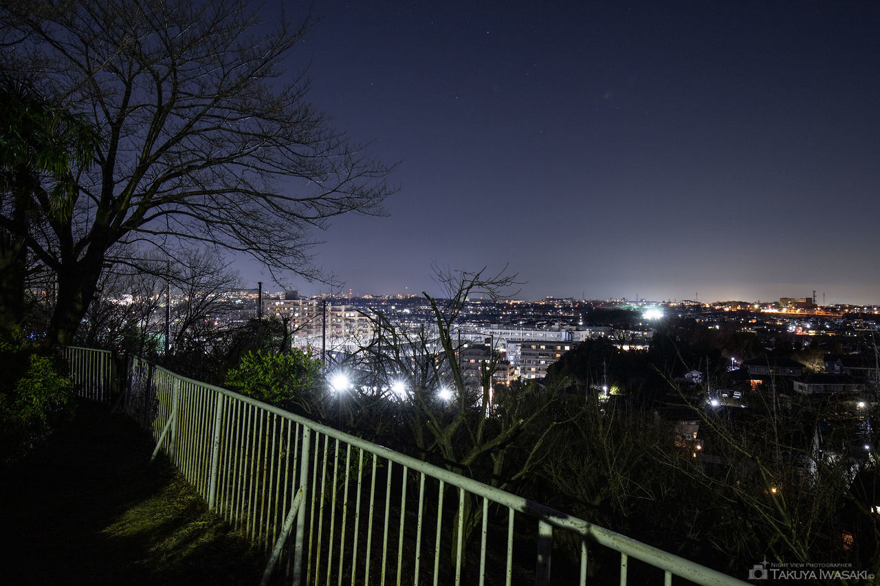 ふじみ公園の夜景スポット写真（3）
