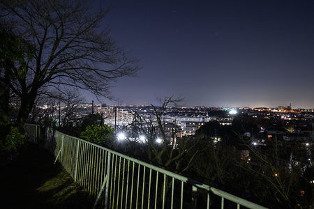 ふじみ公園の夜景スポット写真（3）class=