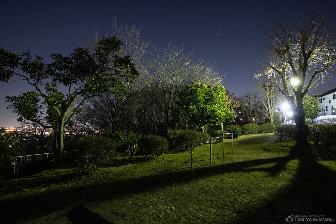 ふじみ公園の夜景スポット写真（4）