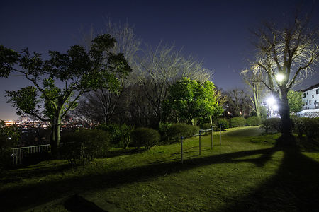 ふじみ公園の夜景スポット写真（4）class=
