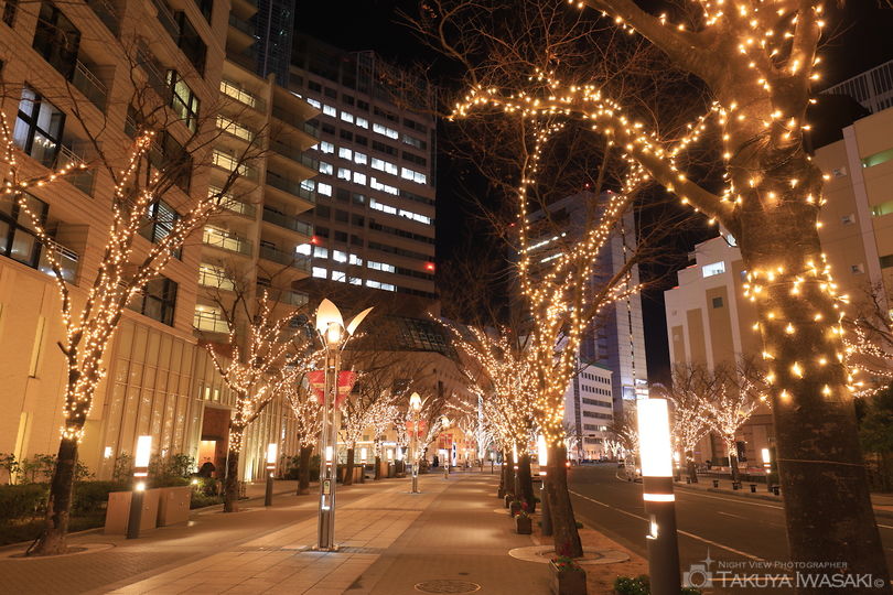 神戸ガス燈通りの夜景スポット写真（2）