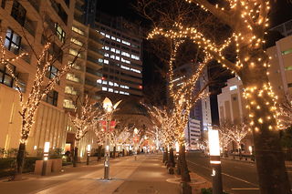 神戸ガス燈通りの夜景スポット写真（2）class=