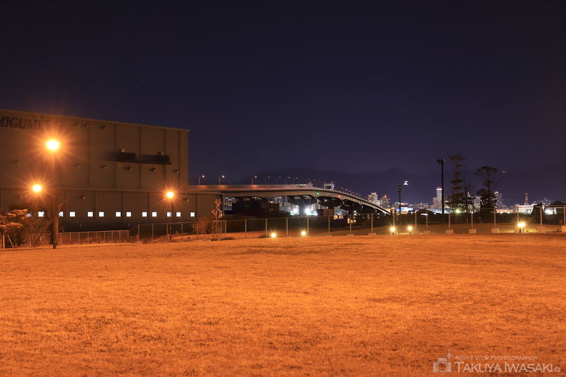 空港島東緑地の夜景スポット写真（1）