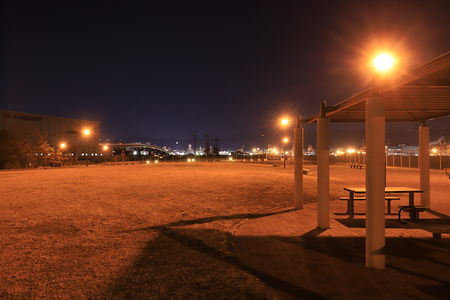 空港島東緑地の夜景スポット写真（2）class=