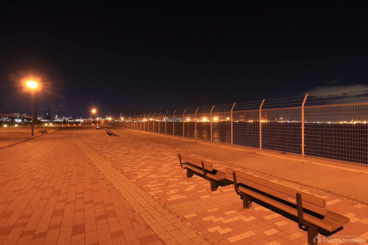 空港島東緑地の夜景スポット写真（3）