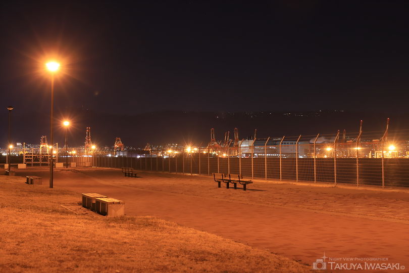 空港島東緑地の夜景スポット写真（4）