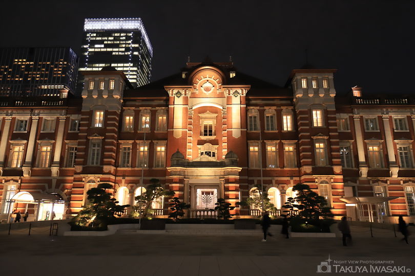 東京駅・丸の内駅前広場の夜景スポット写真（1）