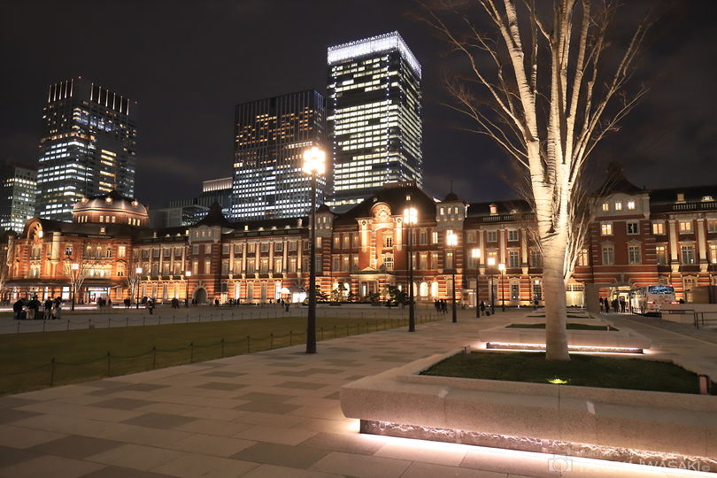 東京駅・丸の内駅前広場の夜景スポット写真（3）