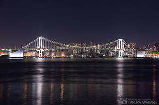 豊洲大橋（西側）の夜景スポット写真（1）class=