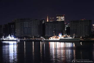 豊洲大橋（西側）の夜景スポット写真（3）class=