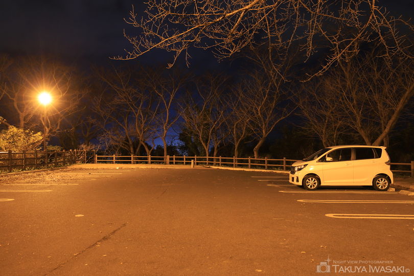 黒崎城跡の夜景スポット写真（6）