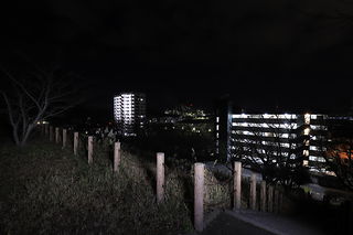 向山公園の夜景スポット写真（3）class=