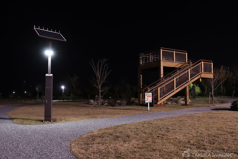 ひびきどんぐり公園の夜景スポット写真（4）