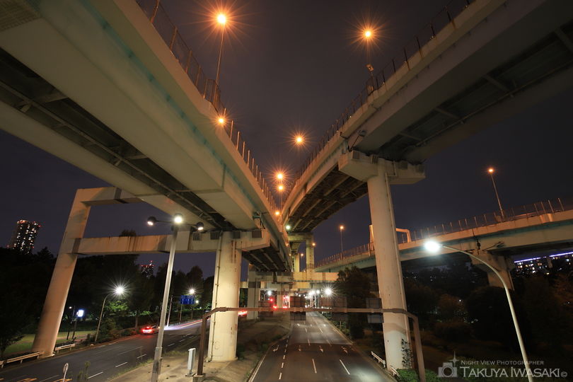 辰巳ジャンクションの夜景スポット写真（1）