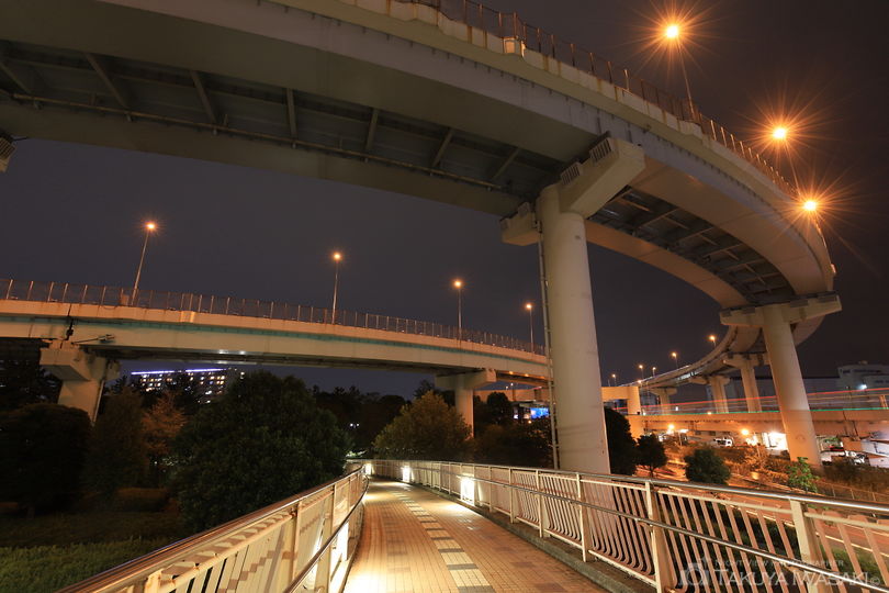 辰巳ジャンクションの夜景スポット写真（3）