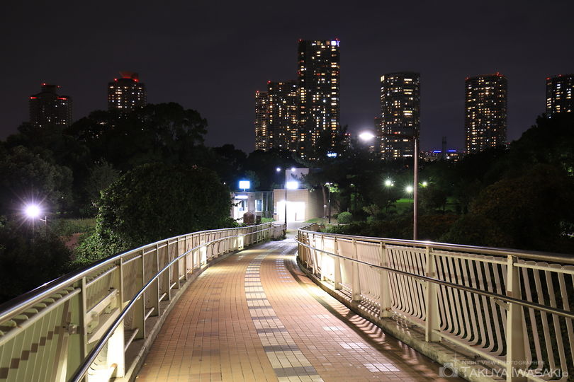 辰巳ジャンクションの夜景スポット写真（5）