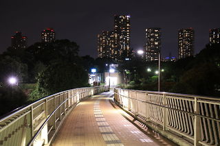 辰巳ジャンクションの夜景スポット写真（5）class=
