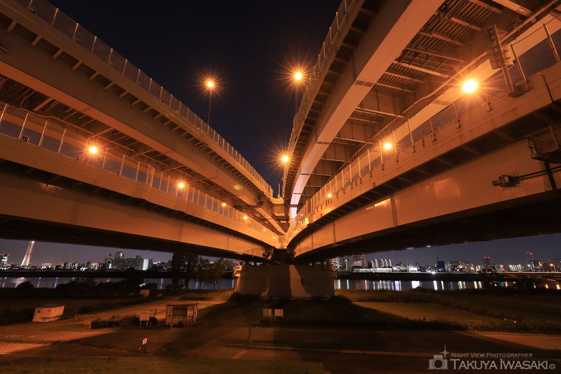荒川河川敷（堀切小橋）の夜景スポット写真（1）