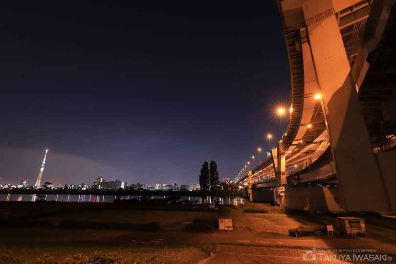 荒川河川敷（堀切小橋）の夜景スポット写真（2）