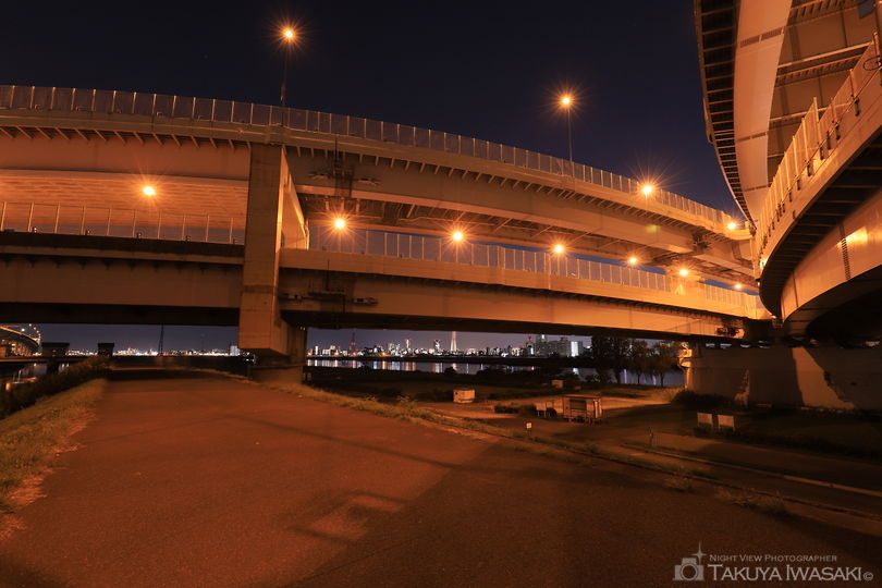 荒川河川敷（堀切小橋）の夜景スポット写真（4）