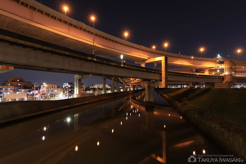 荒川河川敷（堀切小橋）の夜景スポット写真（5）