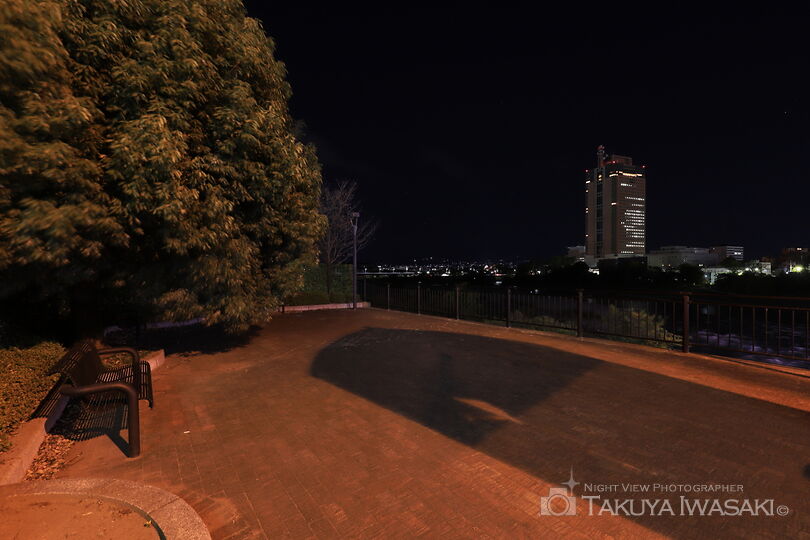 群馬大橋の夜景スポット写真（5）