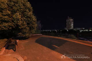群馬大橋の夜景スポット写真（5）class=