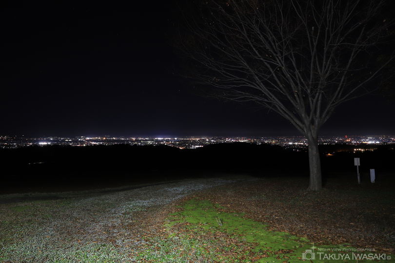 東山ふれあい農業公園の夜景スポット写真（4）