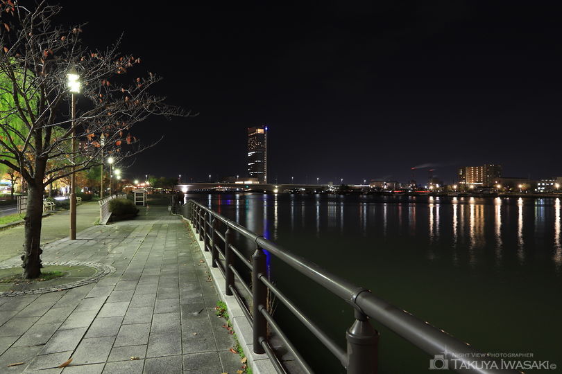 やすらぎ堤（左岸）の夜景スポット写真（6）