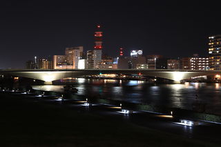 朱鷺メッセ　エスプラナード＆リバーフロントパークの夜景スポット写真（2）class=
