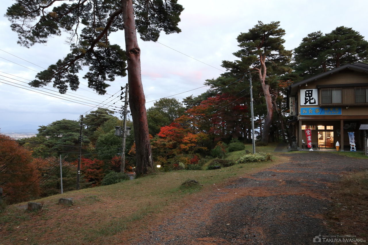 春日山神社の夜景スポット写真（4）