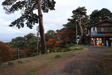 春日山神社の夜景スポット写真（4）class=