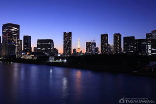 築地大橋 西側歩道の夜景スポット写真（3）class=
