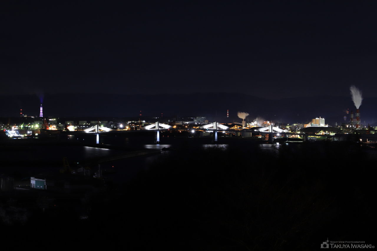 三崎公園　港の見える丘の夜景スポット写真（3）