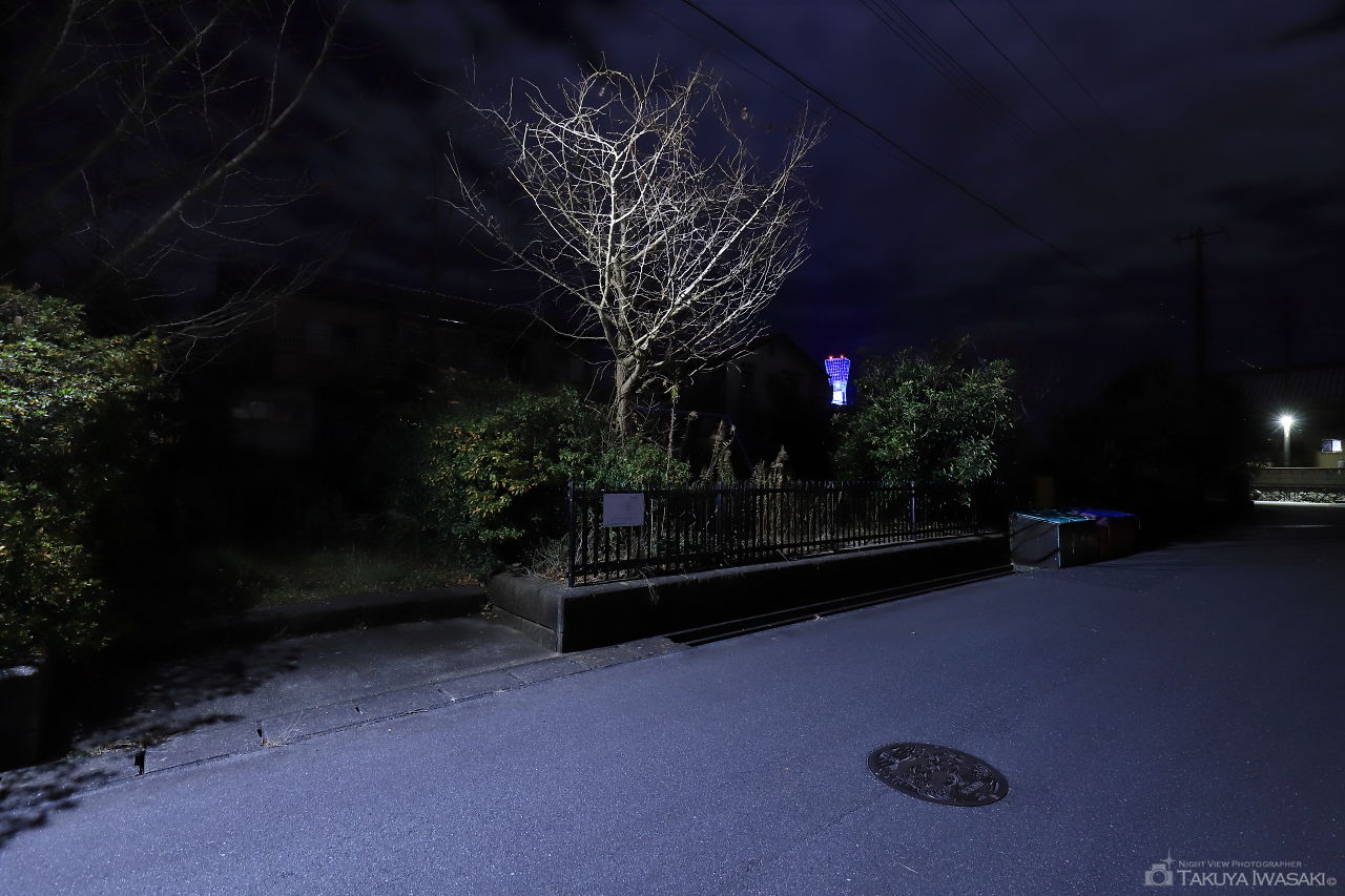 網取公園前の夜景スポット写真（3）