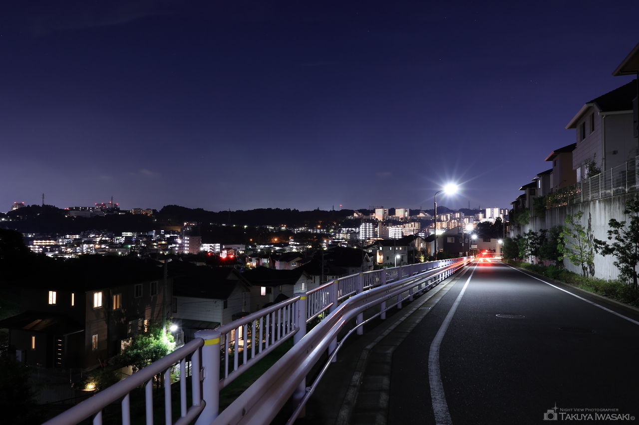 堀之内東山ふれあい東緑道の夜景スポット写真（2）