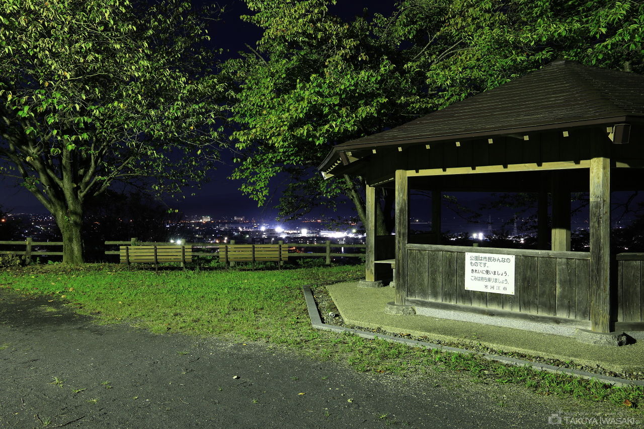 寒河江公園　さくらの丘の夜景スポット写真（4）