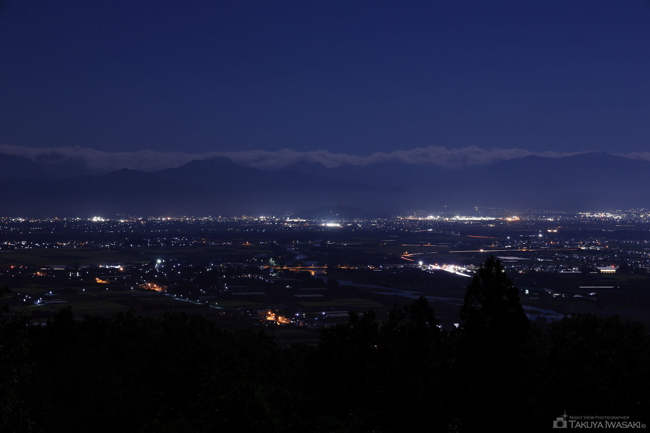 山王台公園の夜景スポット写真（3）
